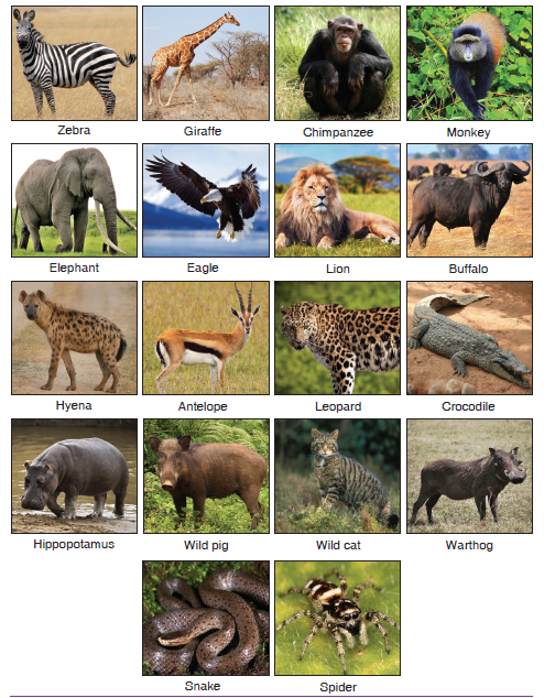 Course English, Topic UNIT 6WILD ANIMALS